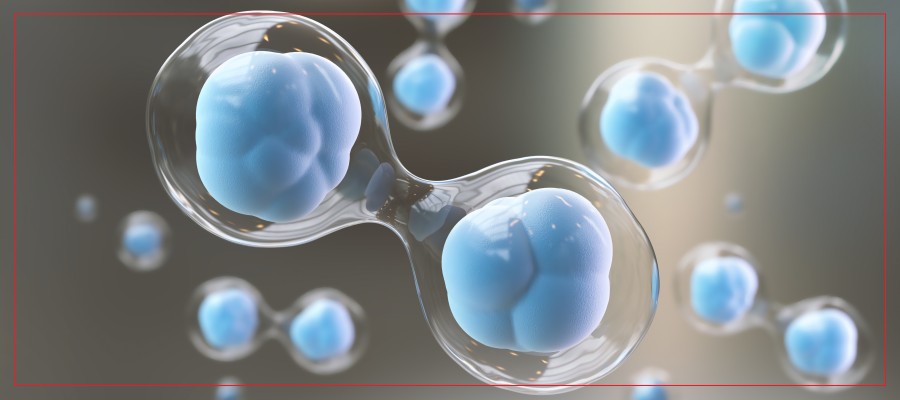 Benefits of Cellular Therapy Near Me in Crown Point, IN Benefits of Cellular Therapy Near Me in Crown Point, IN